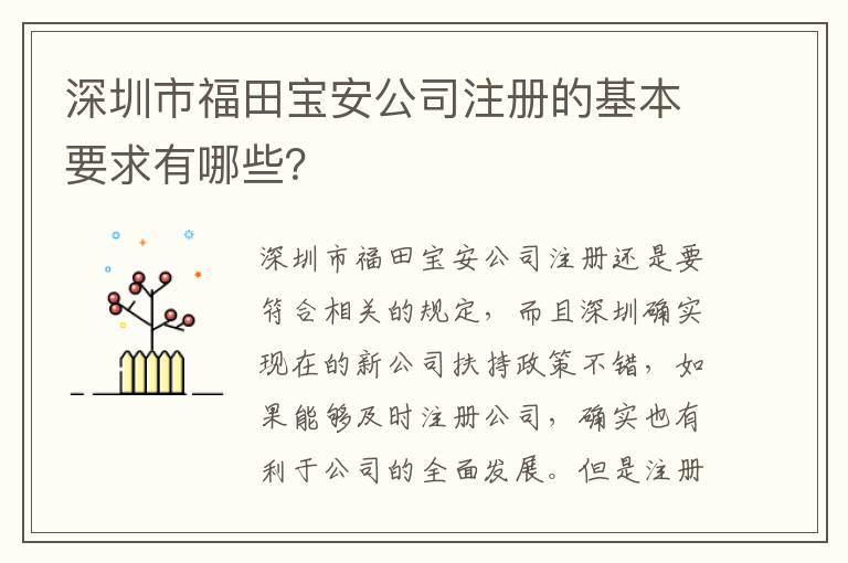 深圳市福田寶安公司注冊(cè)的基本要求有哪些？