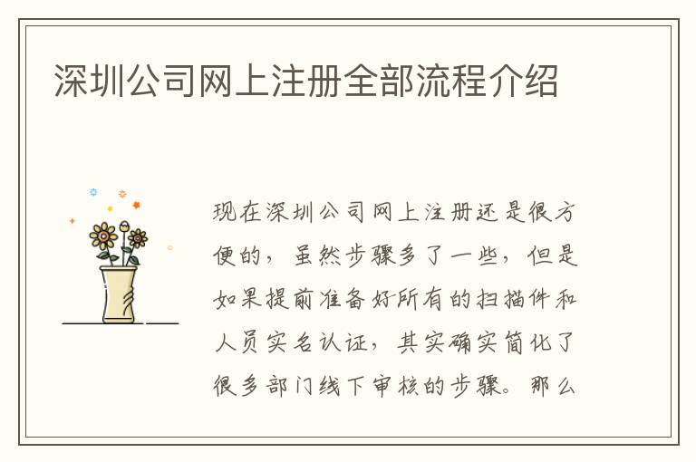 深圳公司網(wǎng)上注冊全部流程介紹