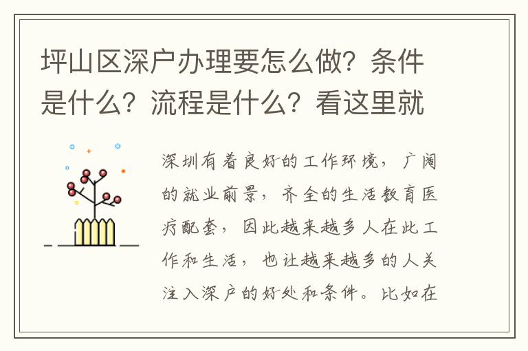 坪山區(qū)深戶辦理要怎么做？條件是什么？流程是什么？看這里就夠了！