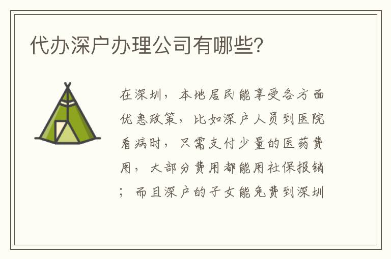 代辦深戶辦理公司有哪些？