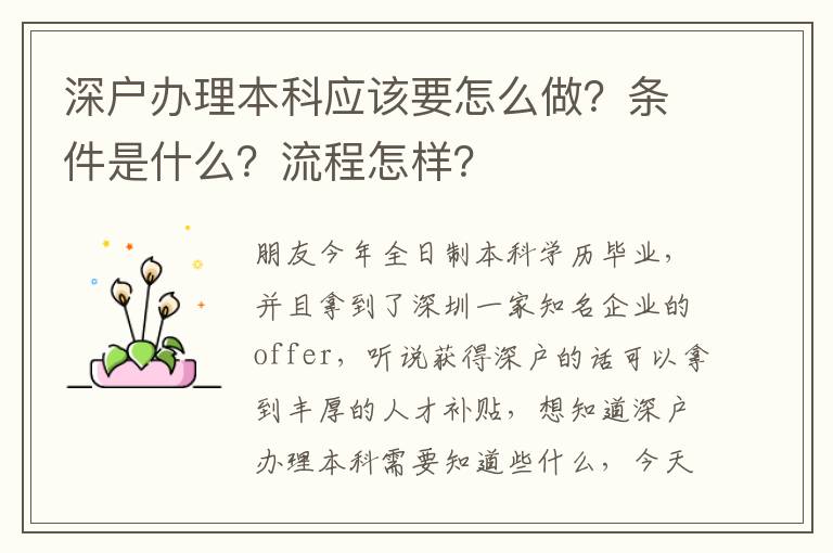 深戶辦理本科應(yīng)該要怎么做？條件是什么？流程怎樣？