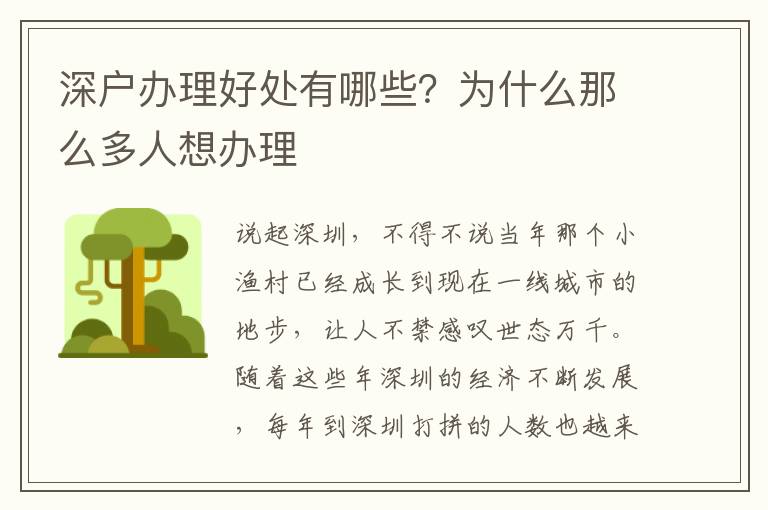 深戶辦理好處有哪些？為什么那么多人想辦理